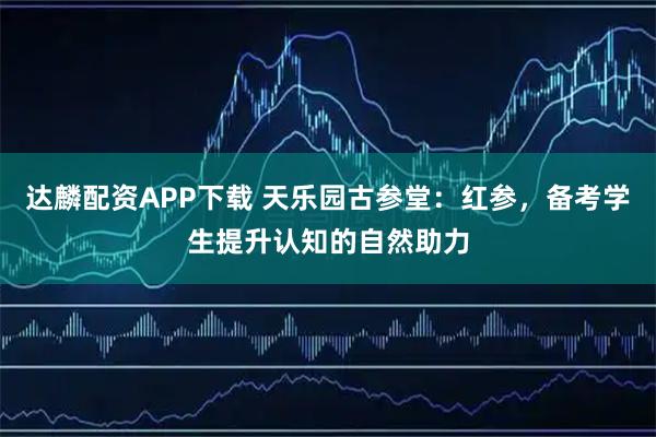 达麟配资APP下载 天乐园古参堂:红参,备考学生提升认知的自然助力