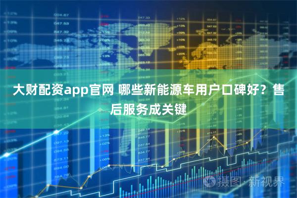 大财配资app官网 哪些新能源车用户口碑好?售后服务成关键